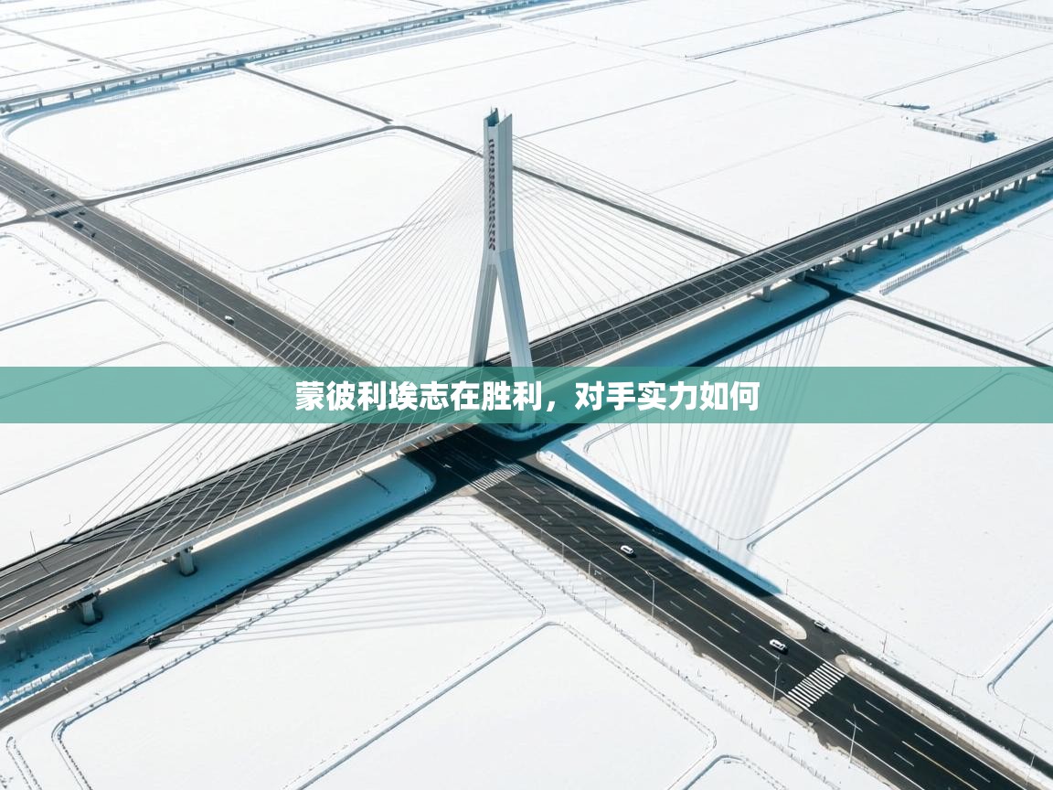 蒙彼利埃志在胜利,对手实力如何 第2张